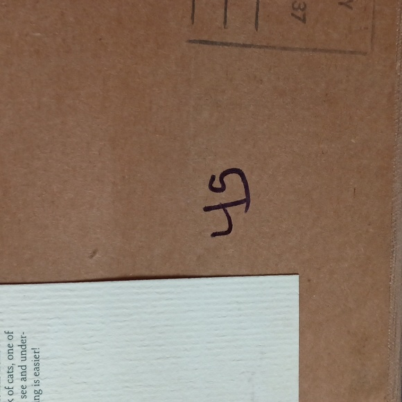 The Bombay company picture Mr Kitty by the Stephanie hobben collection vintage - Picture 7 of 14